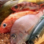 Рыбный фестиваль открывается в Пусане