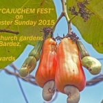 "Cajuchem Fest" 