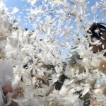 Pillow Fight Flash Mob